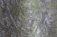 Hound Hill fibreglass roof work